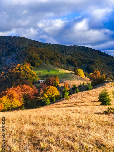 Bright autumn day in the mountains