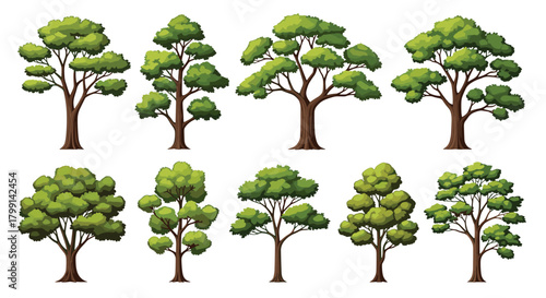 Collection of nine distinct leafy deciduous trees with brown trunks and green foliage.