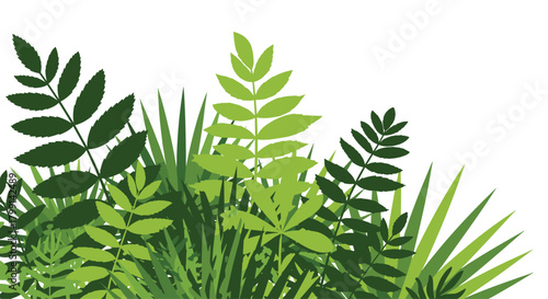 A vibrant jungle foliage background with various green leaves and blades of grass.