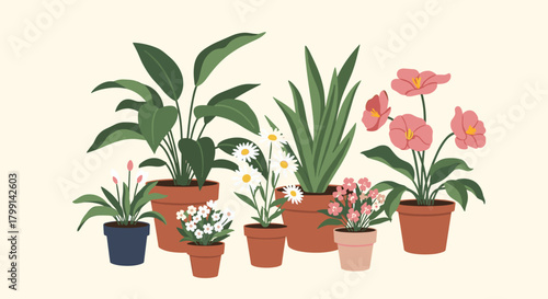 A charming collection of potted houseplants and flowering plants.
