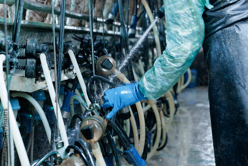 Worker in protective gear cleaning industrial vacuum milking machine dairy equipment with water hose