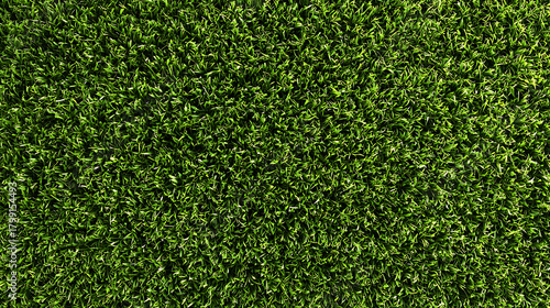 Vibrant Green Turf Background Texture for Landscaping and Golf