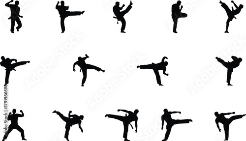 Martial arts kicking poses, silhouette fighter techniques, dynamic combat stances, self-defense movement icons, training form variations, flat vector illustration