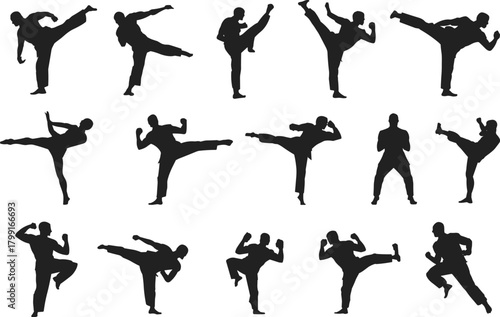 Martial arts kick poses, silhouette fighter stances, combat training icons, dynamic movement forms, self-defense techniques, flat vector illustration