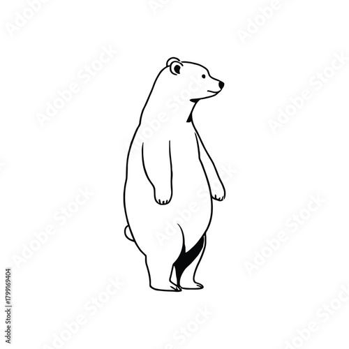 Cute polar bear cub cartoon vector illustration silhouette