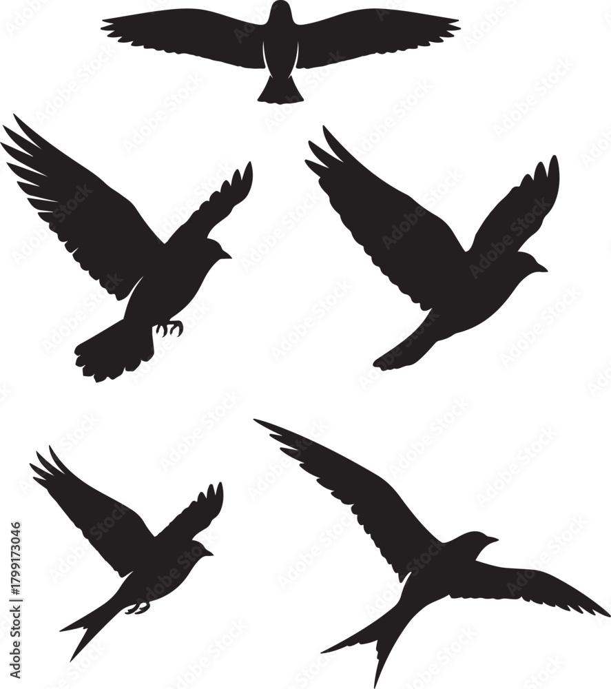 Obraz premium Five Black Bird Silhouettes In Flight On White Background Keywords bird, silhouette, flying