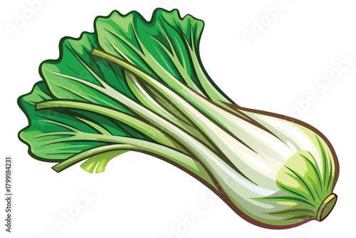 Fresh Bok Choy features light stems and verdant leaves, ready to be cooked in your meals