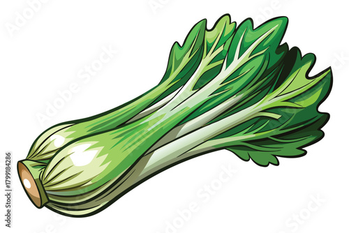 Vibrant green bok choy head shines, showcasing crisp leaves with detailed veins and edges