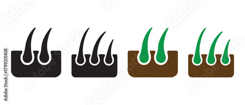Hair follicle growth and treatment concept icon set comparison.