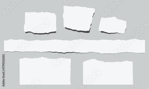 Torn Paper Pieces Vector Set of Realistic Scrap Paper with Edges on Gray Background