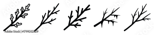 frozen branch twig vector design with black silhouette and white background
