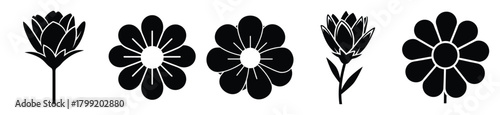 frozen flower vector design with black silhouette and white background