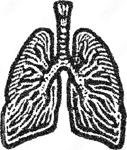 Stipple vintage human lung anatomy vector illustration for medical education, health care poster, or tattoo design
