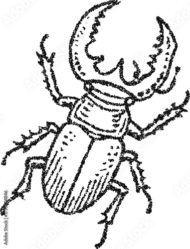 Stipple vector stag beetle insect illustration, detailed vintage engraving for entomology print, occult talisman or tattoo design

