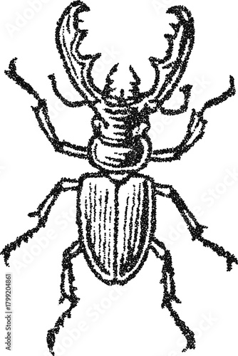 Stipple vector stag beetle illustration, detailed insect engraving for entomology print, occult symbol or vintage tattoo design
