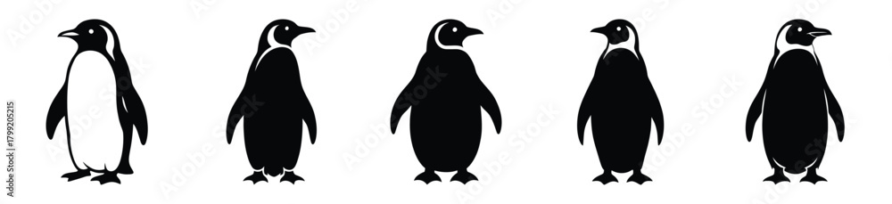 Fototapeta premium standing penguin vector design with black silhouette and white background