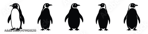 standing penguin vector design with black silhouette and white background