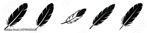 winter feather vector design with black silhouette and white background