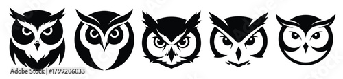 winter owl face vector design with black silhouette and white background
