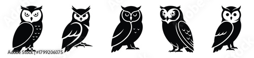 winter owl vector design with black silhouette and white background