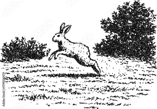 Stipple vector running hare in meadow landscape with bush and tree, vintage countryside engraving for nature print or storybook art
