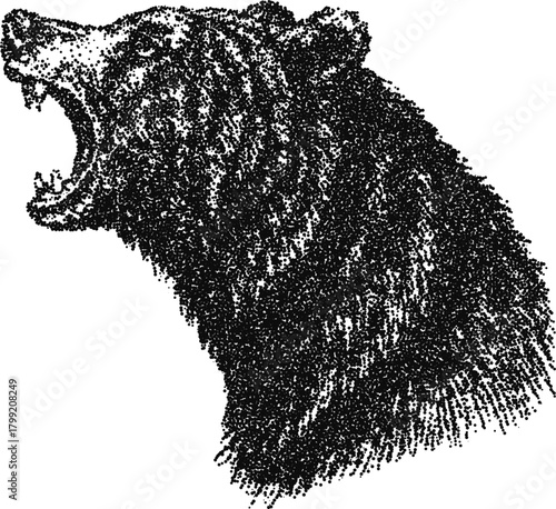 Roaring bear head profile stipple vector illustration, aggressive grizzly mascot for sport team logo, hunting club or tattoo
