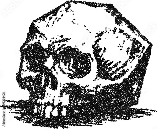 Ancient stone skull stipple vector illustration, fossilized human head for archaeological horror, museum emblem or tattoo design
