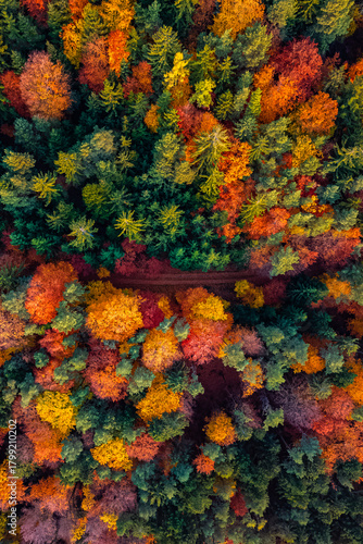 Sonnenaufgang Ringwarte Ringkogel - Oststeiermark - Morgenrot - Herbst - Oststeirische Hügelland - Hartberg - Österreich - Herbstwald von oben