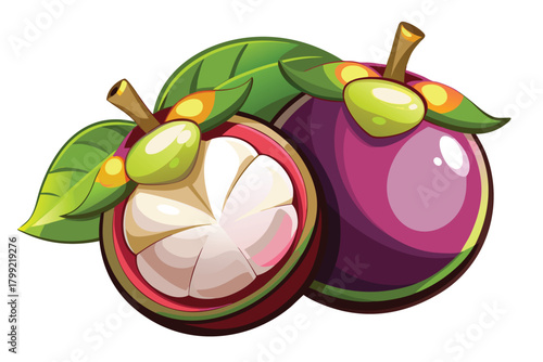 Cartoon mangosteen illustration presents vibrant purple rind, green leaves, and creamy white segmented fruit