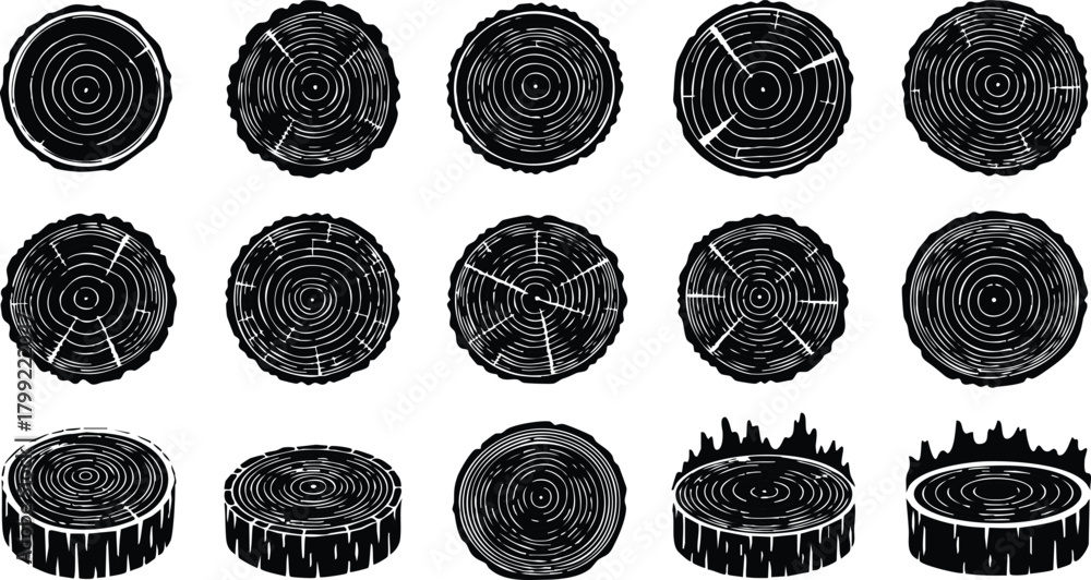 Naklejka premium Tree trunk cross section vector set with natural wood rings and bark textures illustration collection 