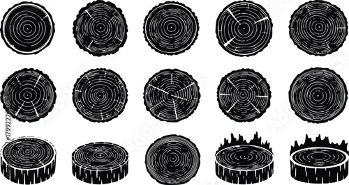 Tree trunk cross section vector set with natural wood rings and bark textures illustration collection 