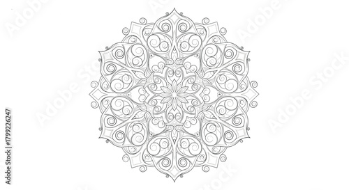 Intricate geometric floral mandala design with detailed filigree and swirling ornamental patterns on a white background.