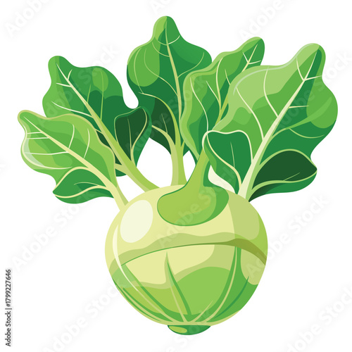 Fresh kohlrabi vegetable with green leaves presents a healthy, cartoon style eating idea