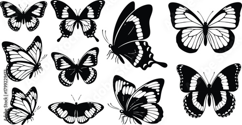Butterfly collection silhouette vector set with diverse wing patterns and shapes natural design elements 