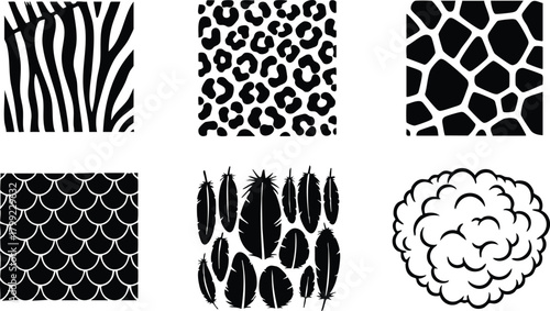 Animal Skin and Feather Patterns Including Zebra, Leopard, Giraffe, Fish Scales, Bird Feathers, and Sheep Wool Textures Vector Illustration