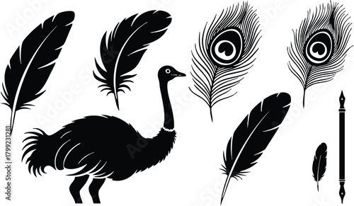 Ostrich bird silhouette with feather and arrow vector illustration in black and white design 