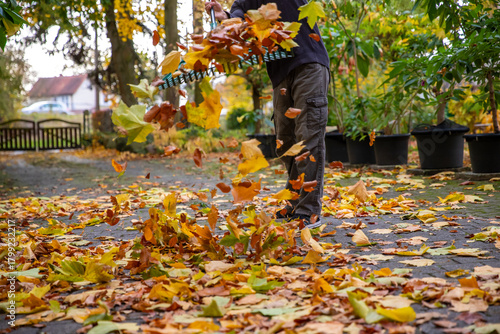 Tableau sur toile Laub zu Hause zusammenfegen. Viel Arbeit im Herbst.