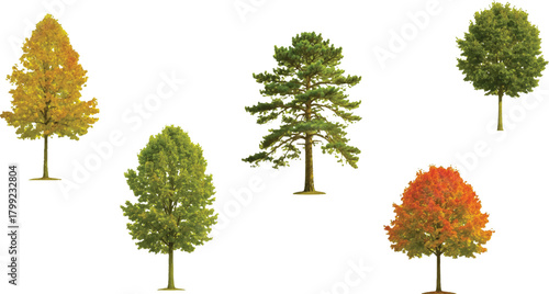 described features a collection of five trees, each showcasing the beautiful and diverse colors offoliage against a clean white background.