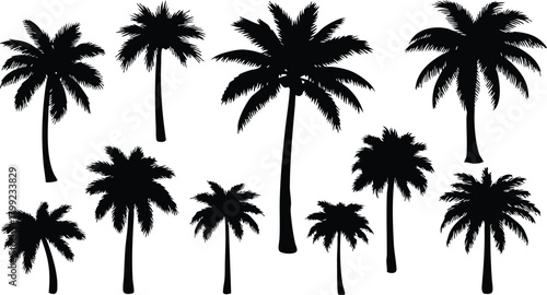 Palm tree silhouettes collection vector black shapes tropical plants nature design elements 