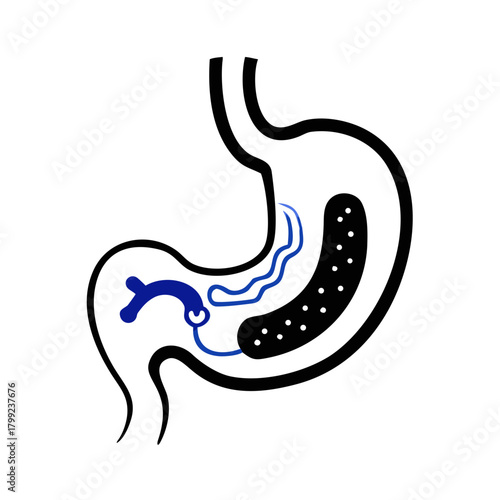 Human Stomach Icon – Digestive System Vector