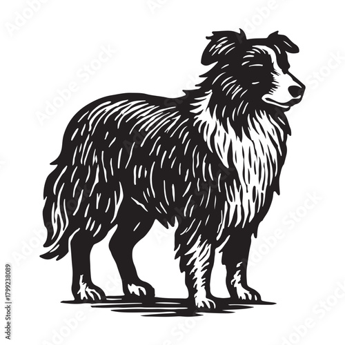 A striking black and white woodcut style illustration of a majestic long-haired herding dog, embodying loyalty and intelligence for a classic farm or pet-themed logo design