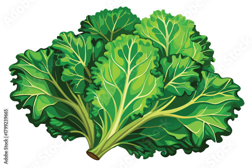 Vivid green chard leaves with detailed veins create a healthy, fresh produce scene