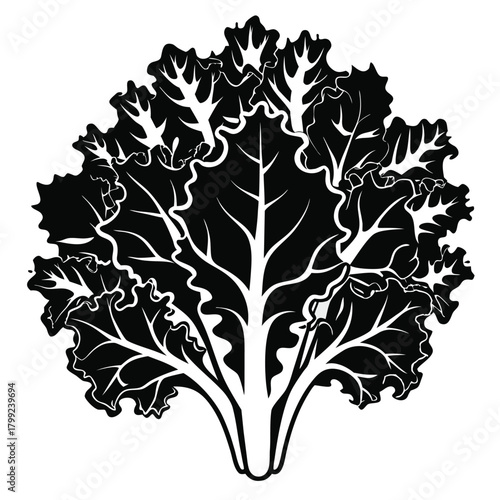 A striking black and white curly kale silhouette exhibits natural, organic veggie characteristics