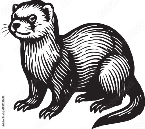 Black and white illustration of a ferret standing on its hind legs, showcasing its sleek body and curious expression in a detailed woodcut style