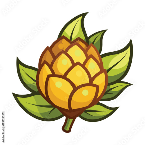 Fresh artichoke is blooming and the green leaves are encircling it