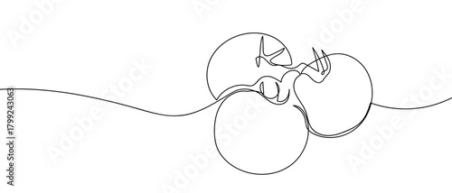 Three tomatoes in one continuous line Dynamic single line draw design vector illustration Editable stroke.