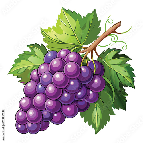 Bunch of cartoon grapes with vibrant green leaves adorns a curving branch