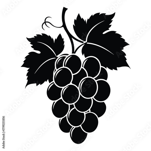 Black silhouette showcases a bunch of plump grapes with leaves and vine tendrils