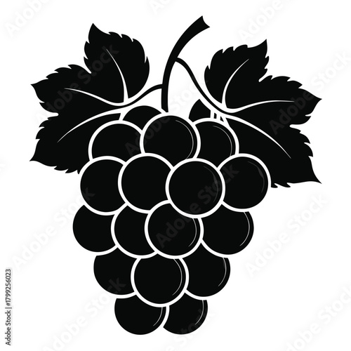 A solid black grapes fruit with leaves cluster conveys freshness in this food image