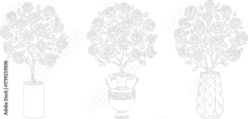 The image presents three distinct topiary illustrations, each emphasizing the unique interplay between plant and pot. Rendered in black and white, the focus is on form and texture.